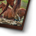 Thumbnail image 14 for Majestic Horse Hilltop