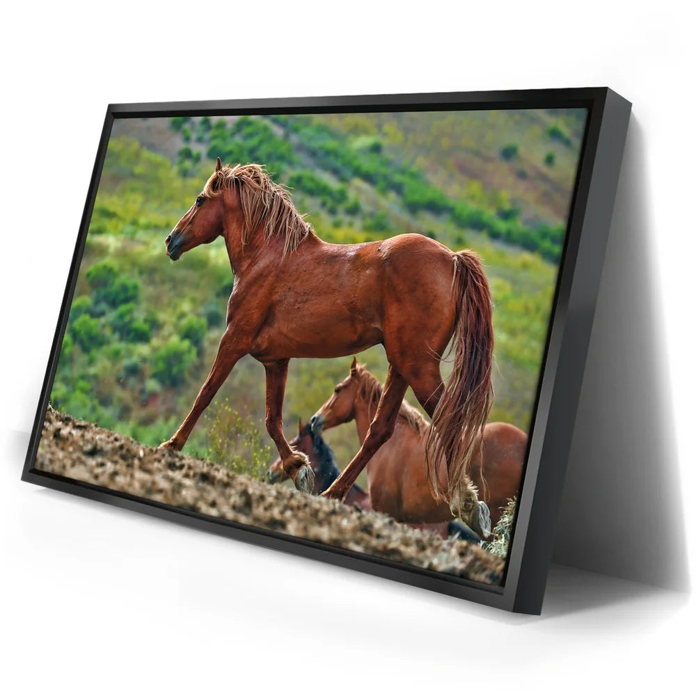 Featured image 2 for Majestic Horse Hilltop
