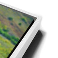 Thumbnail image 13 for Majestic Horse Hilltop
