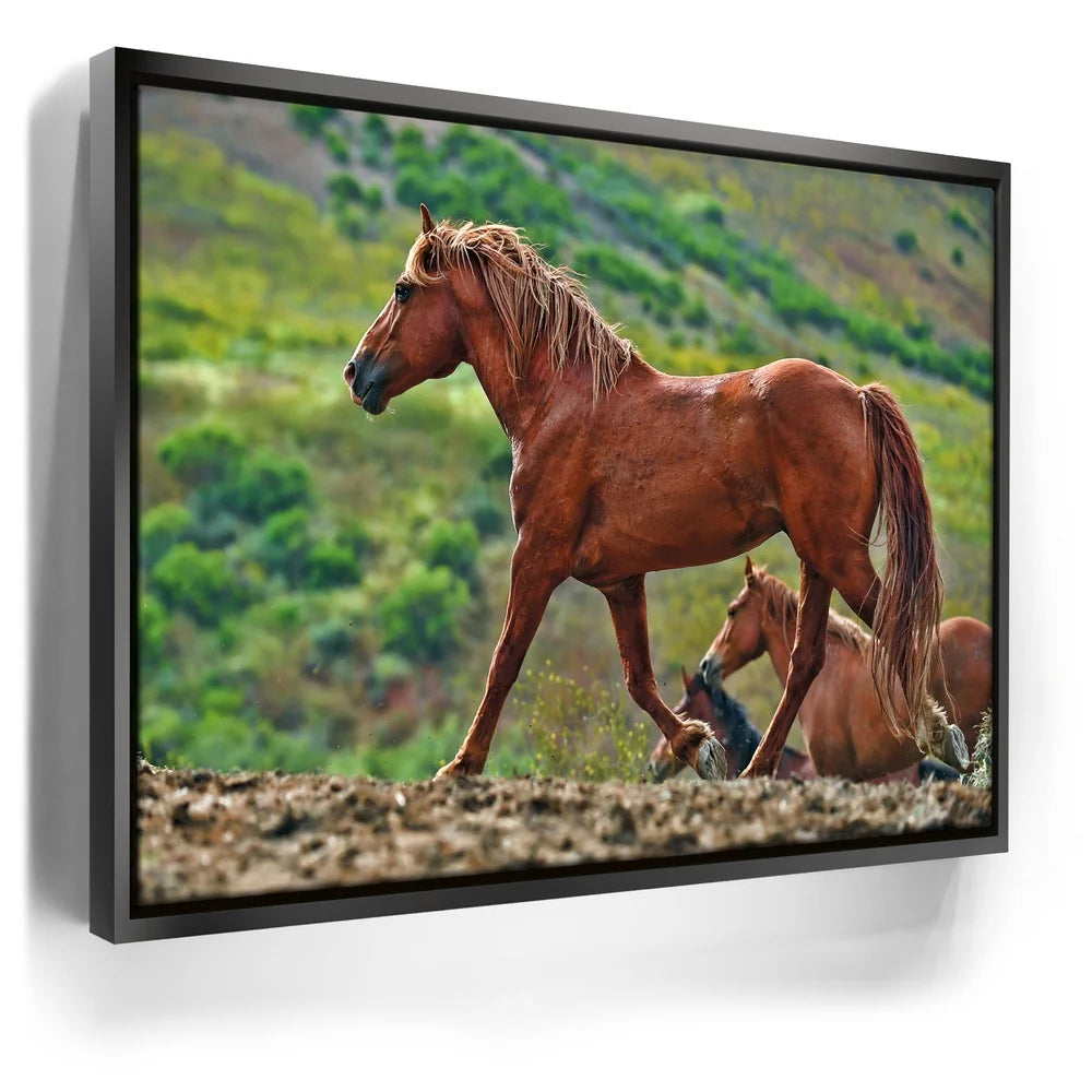 Featured image 5 for Majestic Horse Hilltop