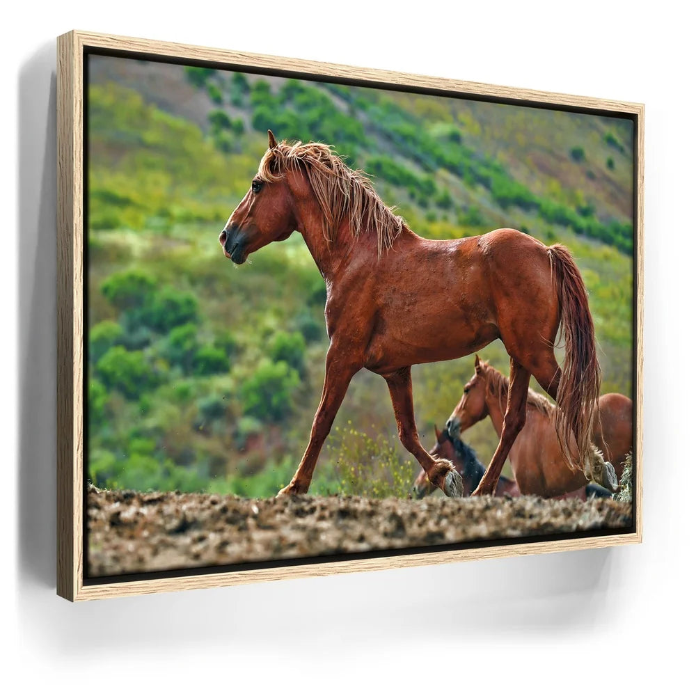 Featured image 9 for Majestic Horse Hilltop
