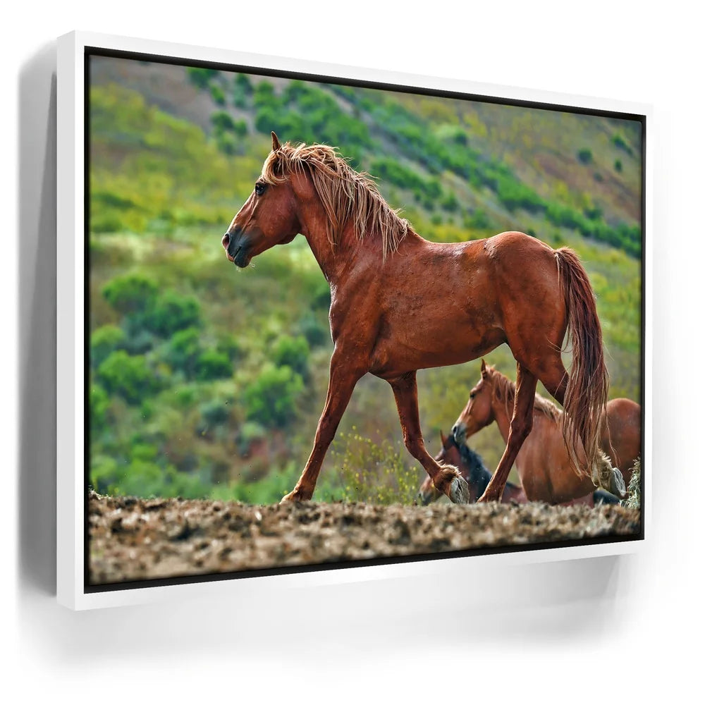 Featured image 6 for Majestic Horse Hilltop