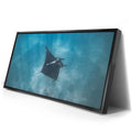 Thumbnail image 2 for Mantaray in the Blue - La Ventana - Mexico