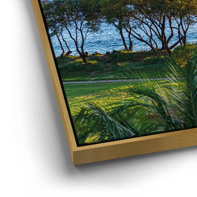 Featured image 13 for Maui Coastal Afterglow