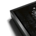 Thumbnail image 11 for Maximus - Black & White