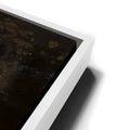 Thumbnail image 13 for Maximus