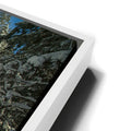 Thumbnail image 13 for Meet Me at the Bend in the River