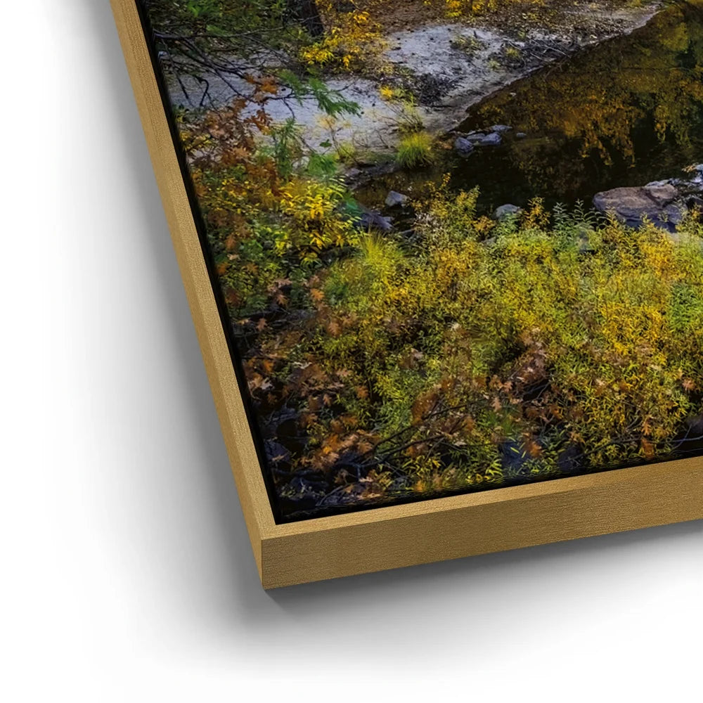 Featured image 12 for Merced River Reflections In Yosemite