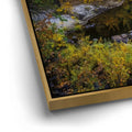 Thumbnail image 12 for Merced River Reflections In Yosemite