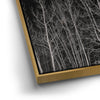 Thumbnail image 12 for Midnight Aspens - Aspen CO