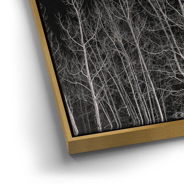 Featured image 12 for Midnight Aspens - Aspen CO