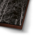 Thumbnail image 14 for Midnight Aspens - Aspen CO