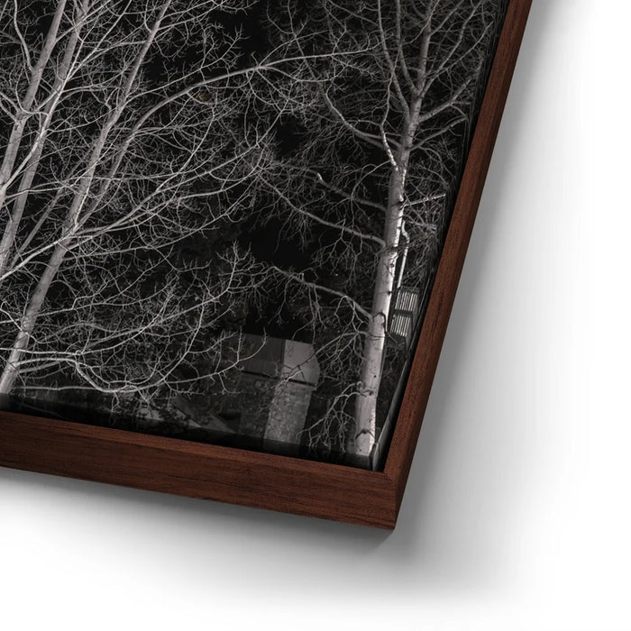 Featured image 14 for Midnight Aspens - Aspen CO