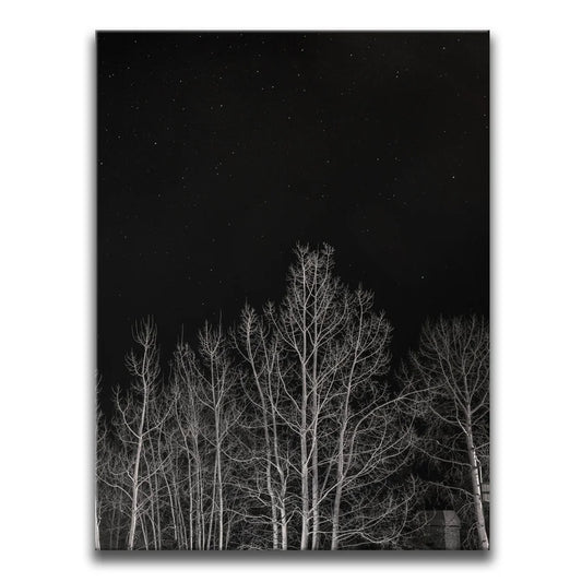 Midnight Aspens - Aspen CO Posters, Prints, & Visual Artwork TheGoatWallArt PORTRAIT 18x24 0.75" STANDARD