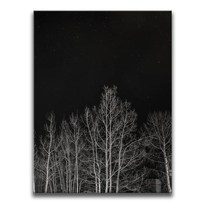 Featured image 1 for Midnight Aspens - Aspen CO