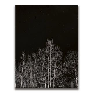 Midnight Aspens - Aspen CO