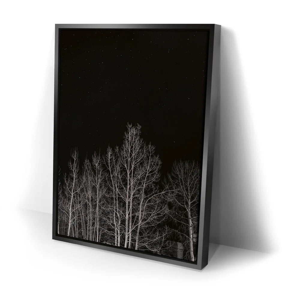 Featured image 2 for Midnight Aspens - Aspen CO