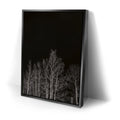 Thumbnail image 2 for Midnight Aspens - Aspen CO