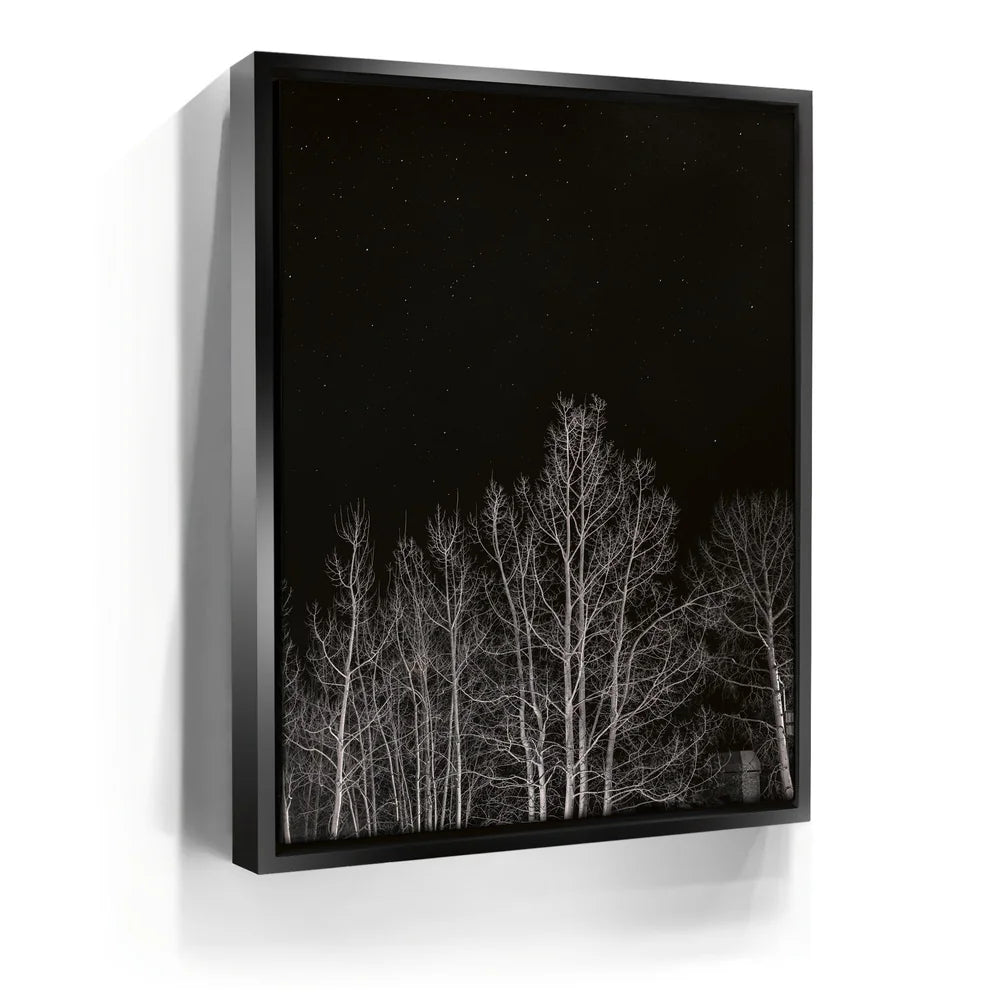 Featured image 5 for Midnight Aspens - Aspen CO