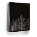 Featured image 5 for Midnight Aspens - Aspen CO