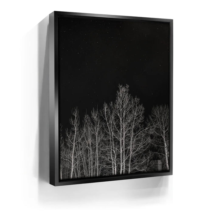 Featured image 5 for Midnight Aspens - Aspen CO