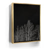 Featured image 7 for Midnight Aspens - Aspen CO