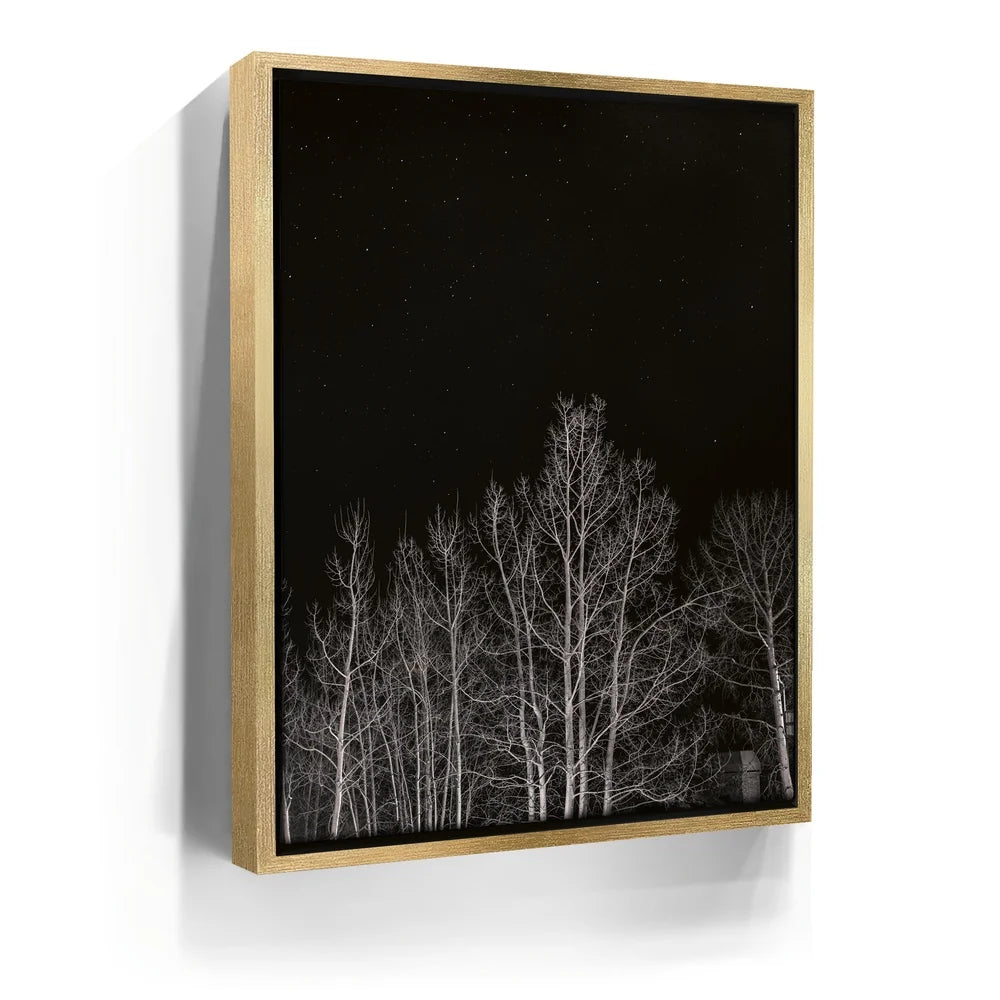 Featured image 7 for Midnight Aspens - Aspen CO