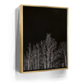 Featured image 7 for Midnight Aspens - Aspen CO