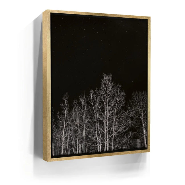 Featured image 7 for Midnight Aspens - Aspen CO