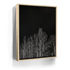 Featured image 9 for Midnight Aspens - Aspen CO