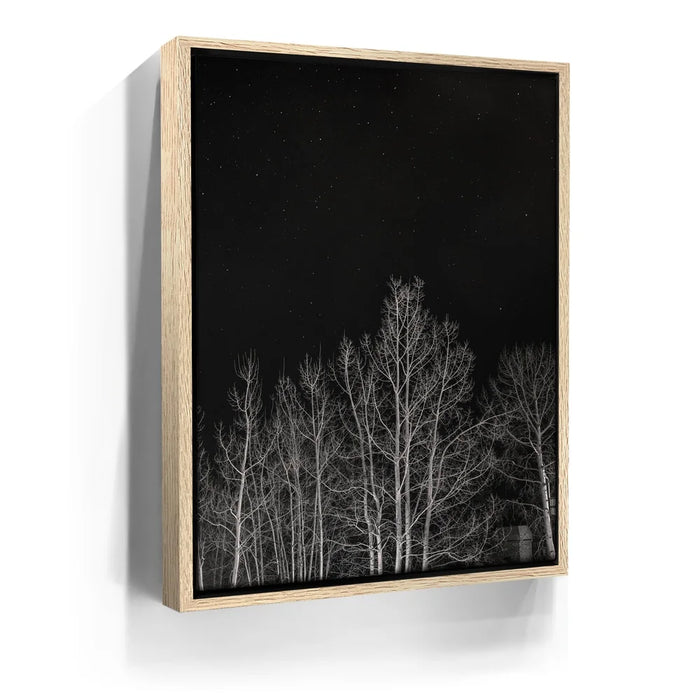Featured image 9 for Midnight Aspens - Aspen CO