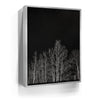 Featured image 8 for Midnight Aspens - Aspen CO