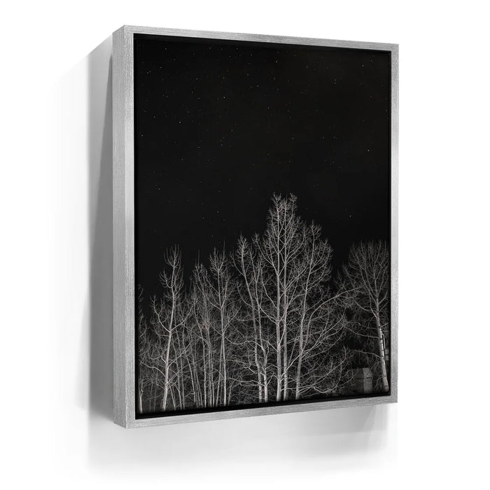Featured image 8 for Midnight Aspens - Aspen CO