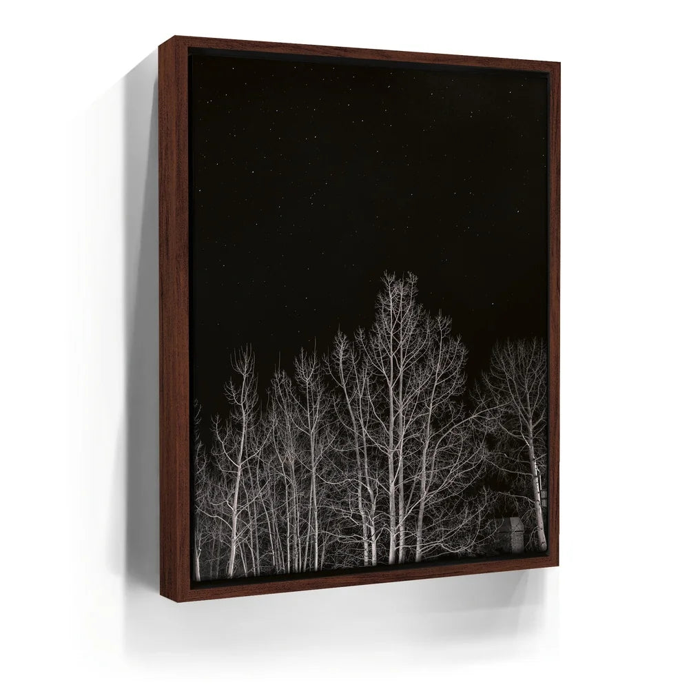 Featured image 10 for Midnight Aspens - Aspen CO