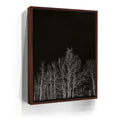 Featured image 10 for Midnight Aspens - Aspen CO