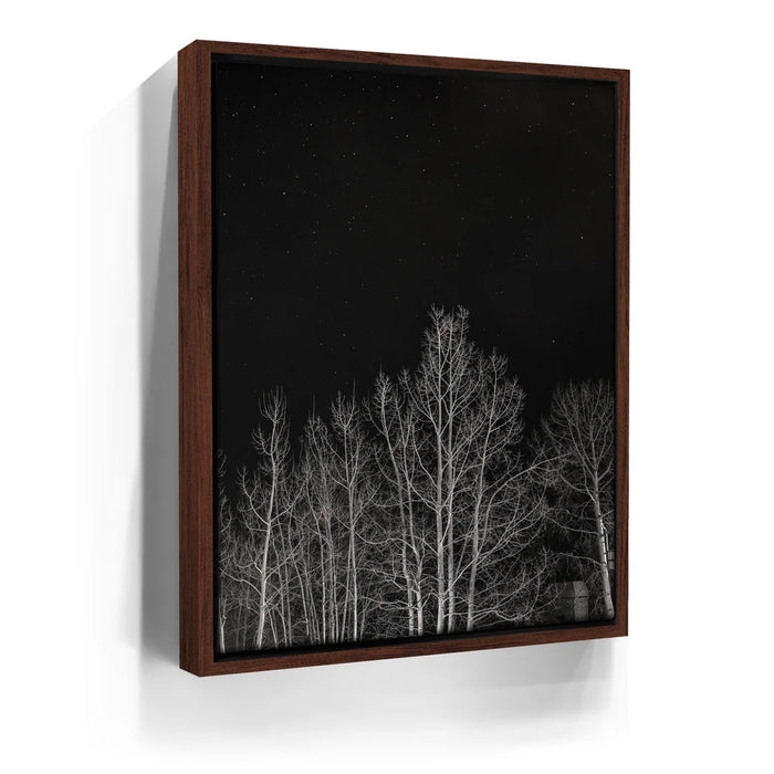 Featured image 10 for Midnight Aspens - Aspen CO