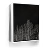 Featured image 6 for Midnight Aspens - Aspen CO