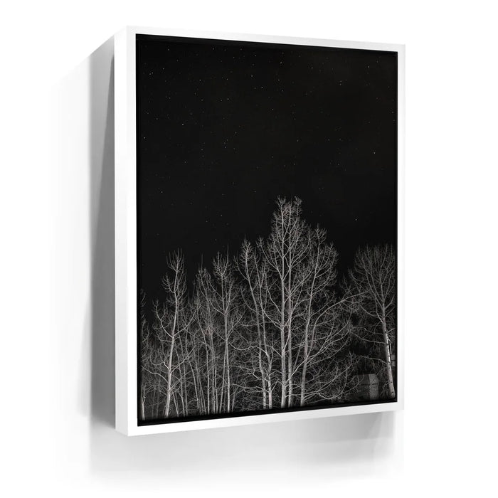 Featured image 6 for Midnight Aspens - Aspen CO