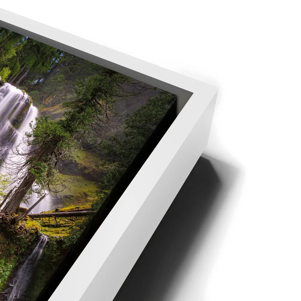 Featured image 13 for Misty Falls Creek
