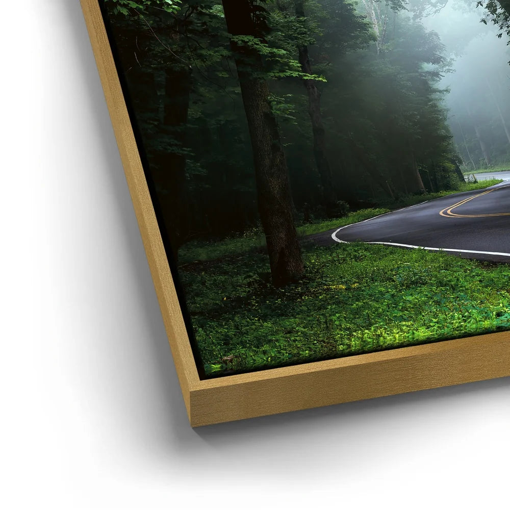 Featured image 12 for Misty Passage