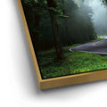 Thumbnail image 12 for Misty Passage