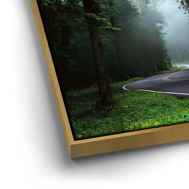 Featured image 12 for Misty Passage