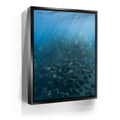 Featured image 6 for Mobula Fever - La Ventana - Mexico
