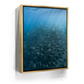Featured image 8 for Mobula Fever - La Ventana - Mexico