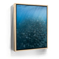 Featured image 10 for Mobula Fever - La Ventana - Mexico