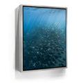 Featured image 9 for Mobula Fever - La Ventana - Mexico