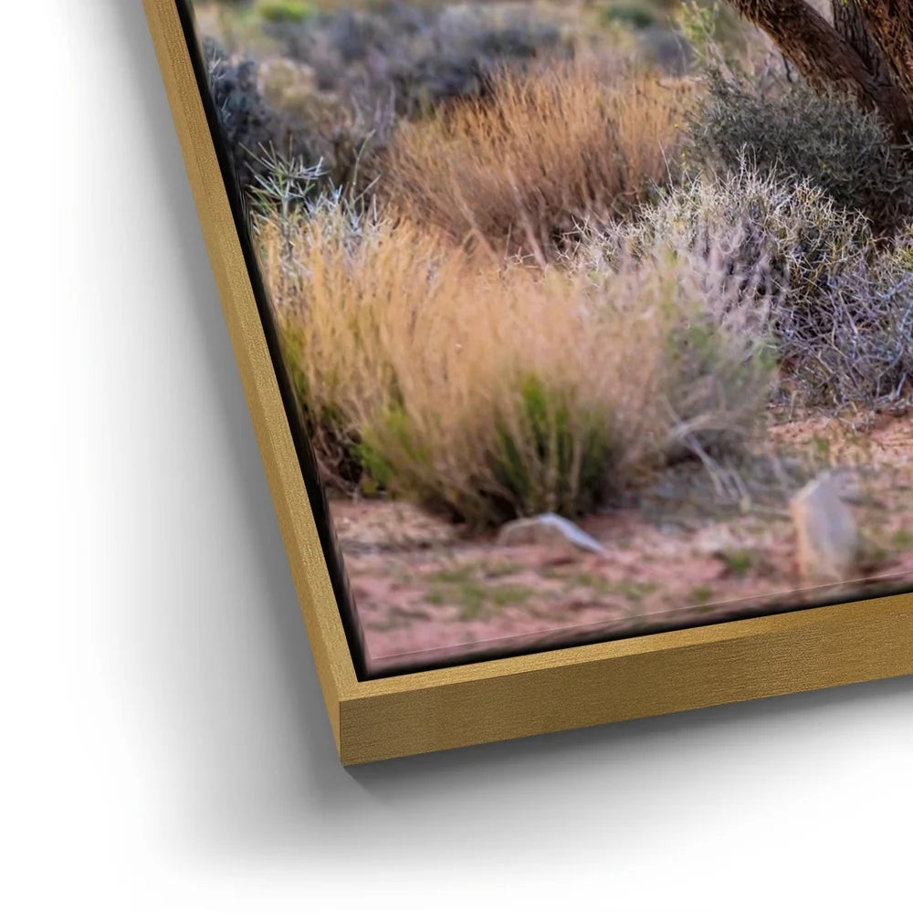 Featured image 12 for Mojave Spirit