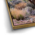 Thumbnail image 12 for Mojave Spirit