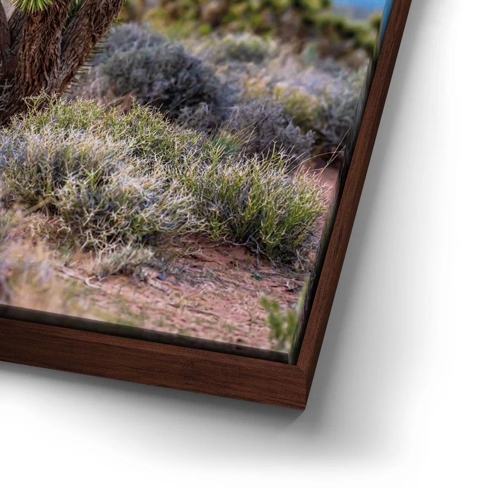 Featured image 14 for Mojave Spirit