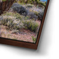 Thumbnail image 14 for Mojave Spirit